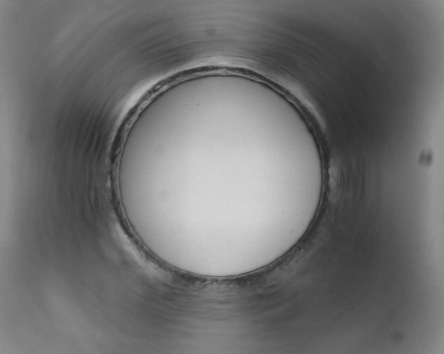 X0000110870972200906181005