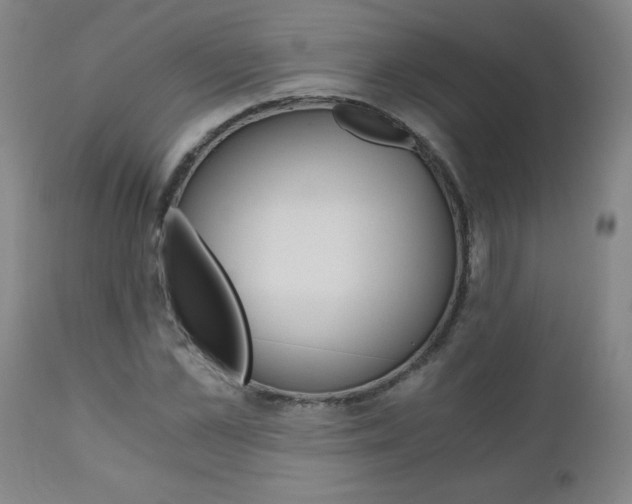 X0000110870973200906181005
