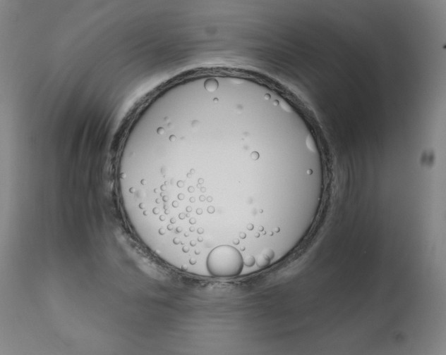 X0000110870974200906181005