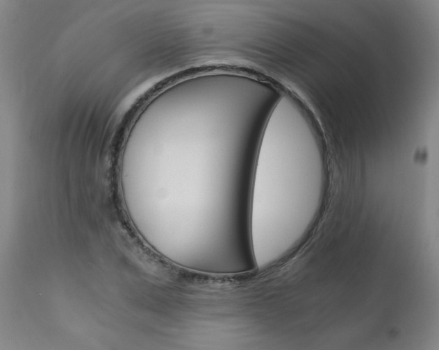 X0000110870975200906181005