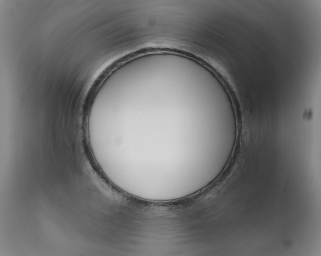 X0000110870976200906181005