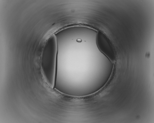 X0000110870977200906181005