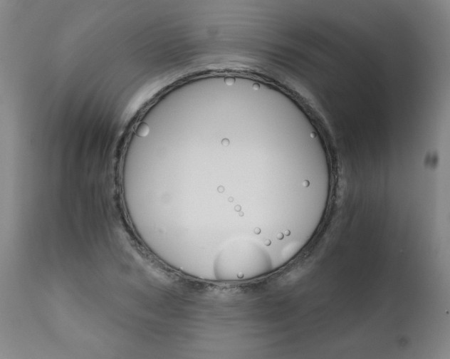 X0000110870978200906181005