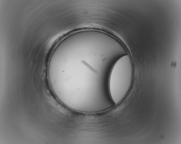 X0000110870979200906181005
