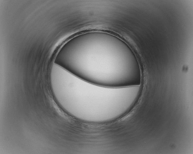 X0000110870981200906181005