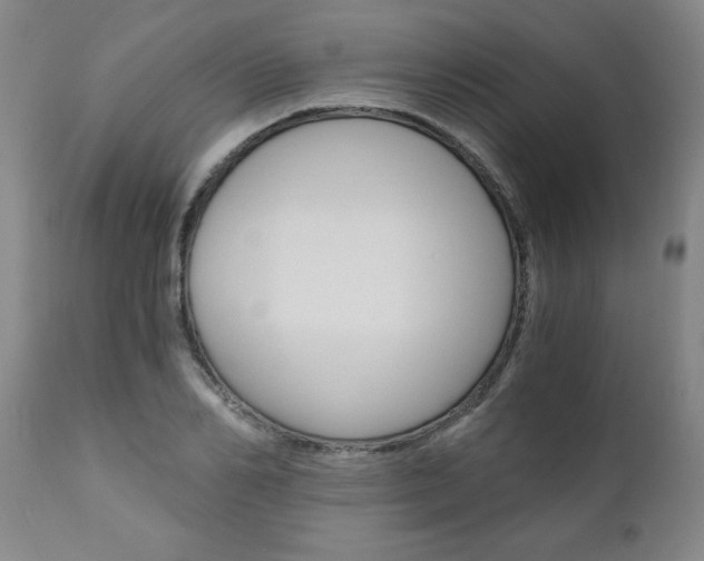 X0000110870982200906181005