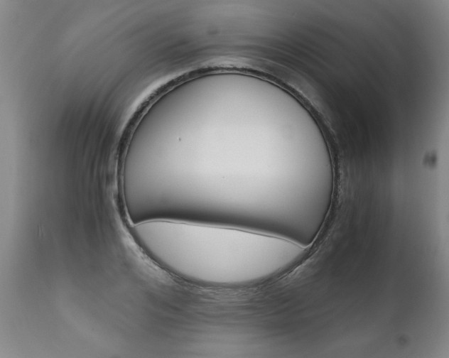 X0000110870984200906181005