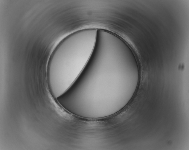 X0000110870988200906181005