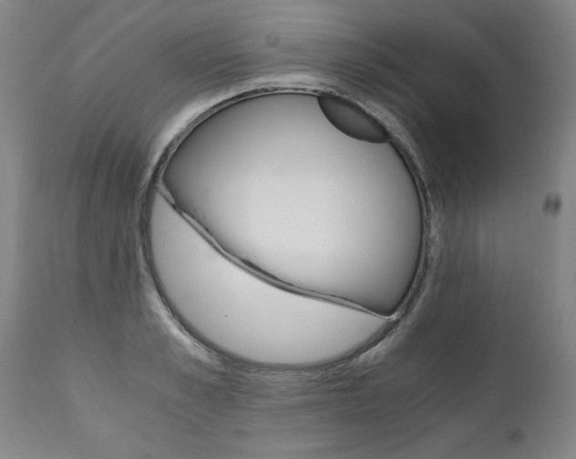 X0000110870989200906181005