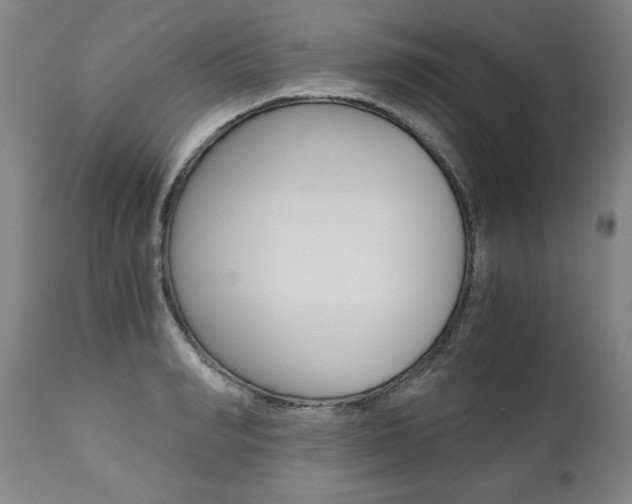 X0000110870990200906181005