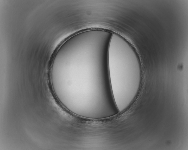 X0000110870991200906181005