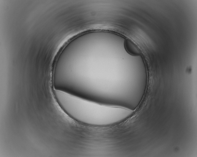 X0000110870992200906181005