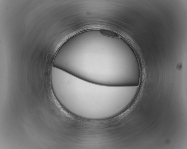 X0000110870993200906181005