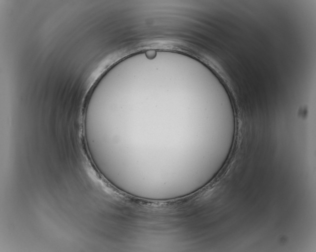 X0000110870994200906181005