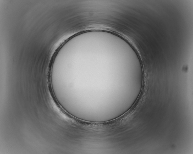 X0000110870995200906181005