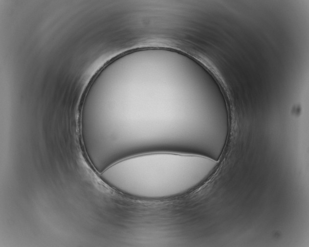 X0000110870996200906181005