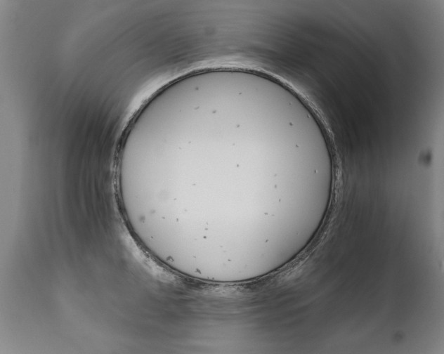 X0000110870998200906181005