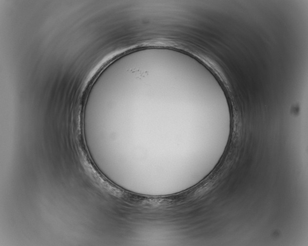 X0000110871000200906181005