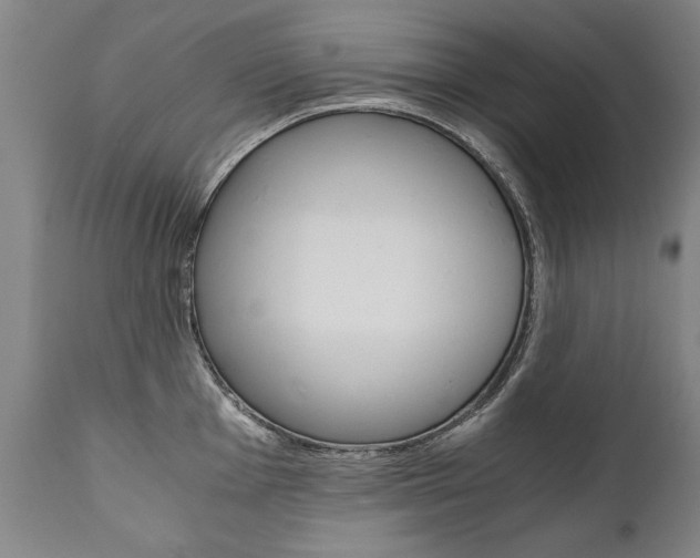 X0000110871001200906181005