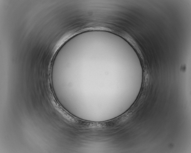 X0000110871002200906181005