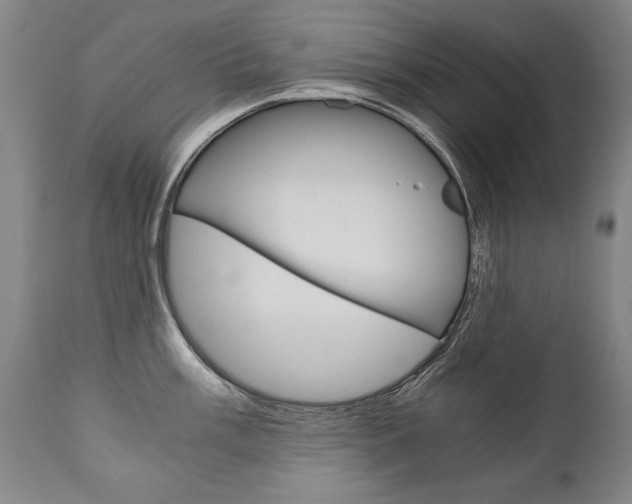 X0000110871003200906181005