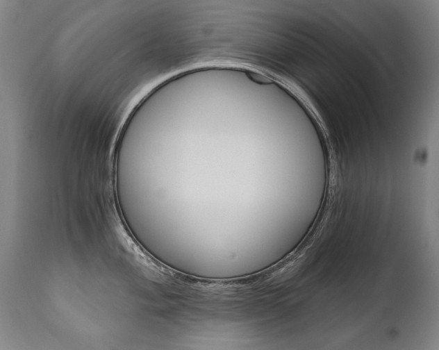 X0000110871004200906181005