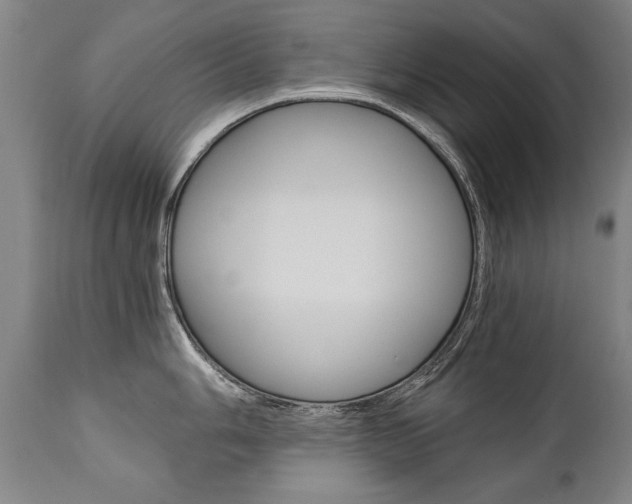X0000110871006200906181005
