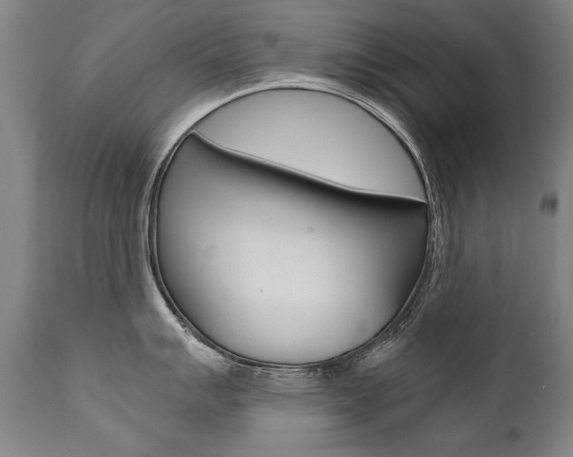 X0000110871007200906181005