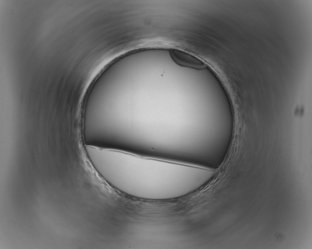 X0000110871008200906181005