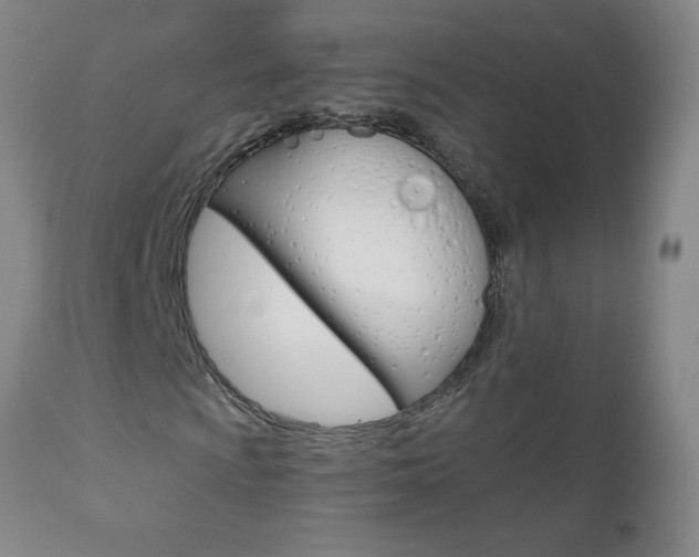 X0000110871009200906181004