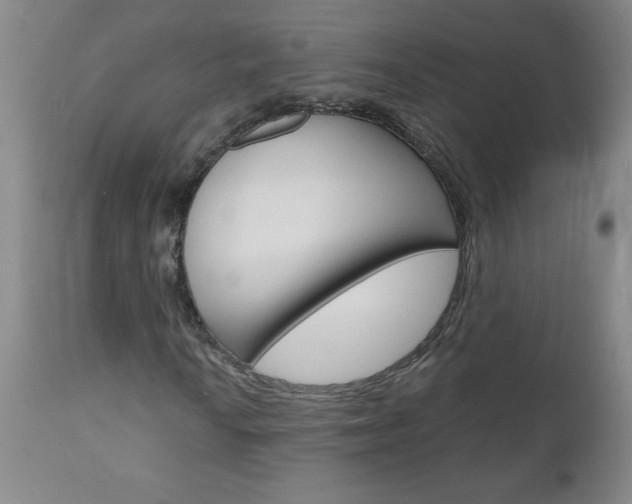 X0000110871010200906181004