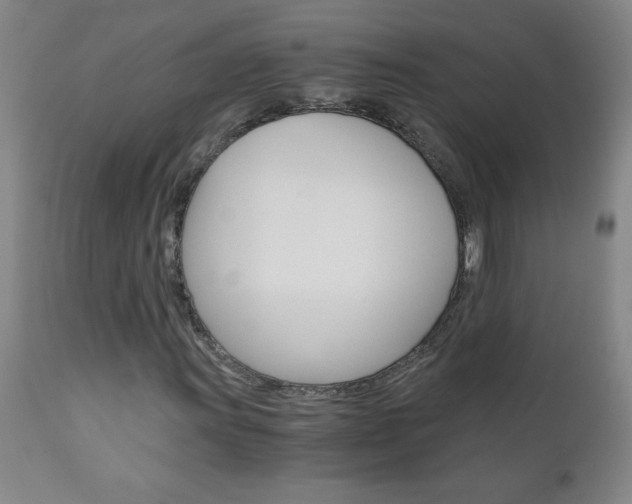 X0000110871011200906181004