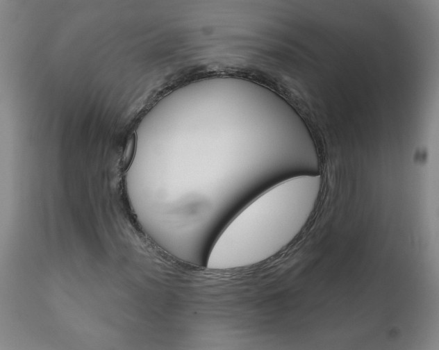 X0000110871012200906181004