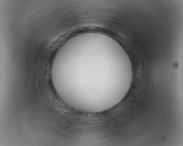 X0000110871014200906181004