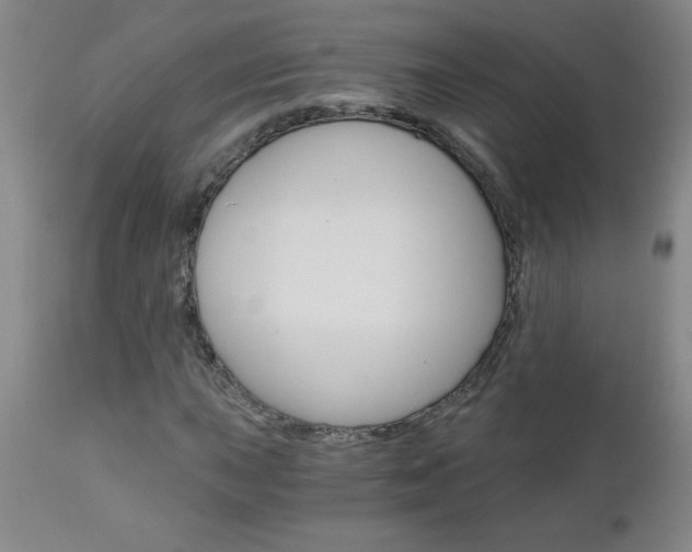 X0000110871015200906181004