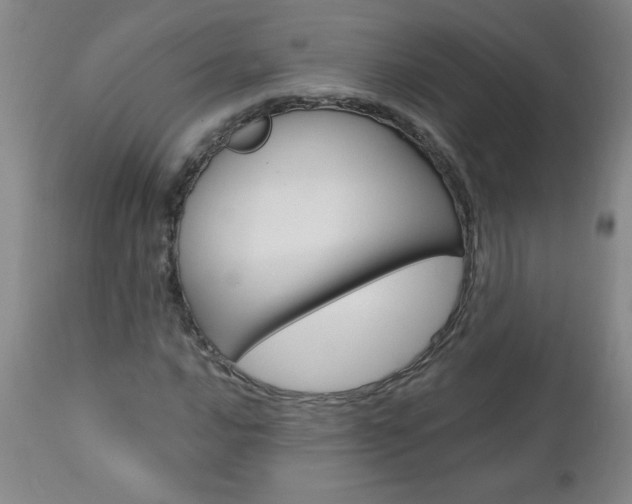 X0000110871016200906181004