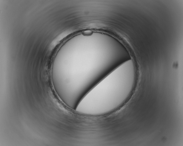 X0000110871018200906181004