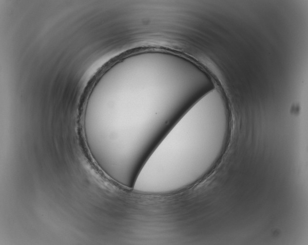 X0000110871020200906181004