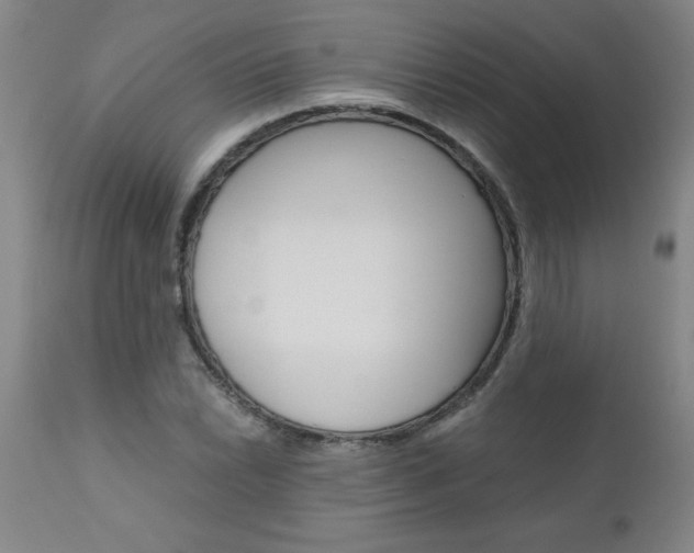 X0000110871022200906181004
