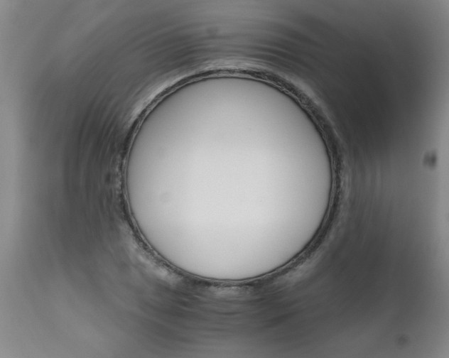 X0000110871025200906181004