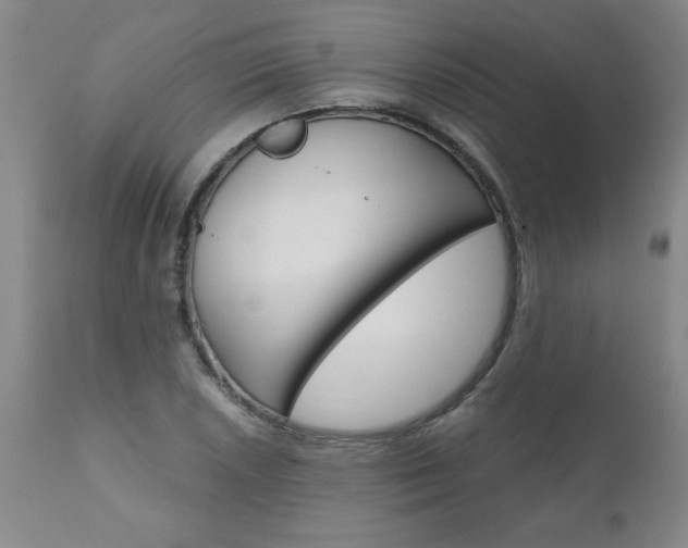 X0000110871026200906181004