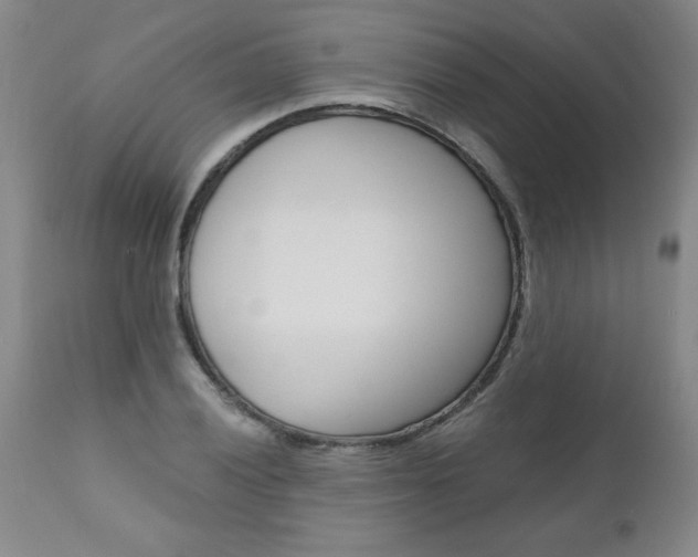 X0000110871028200906181004