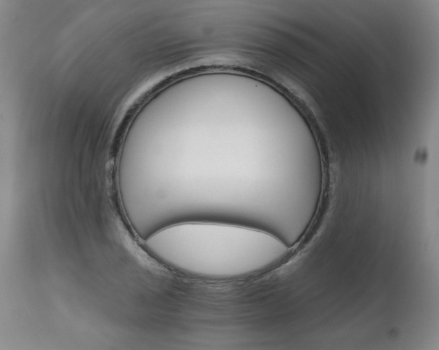X0000110871029200906181005