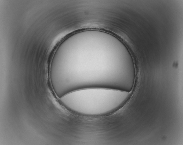 X0000110871030200906181005