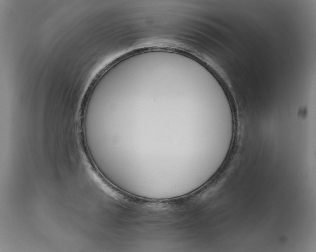 X0000110871037200906181005