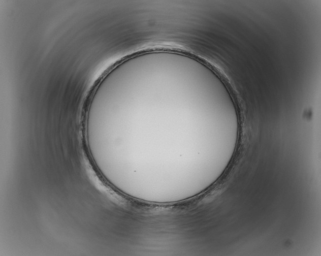 X0000110871038200906181005