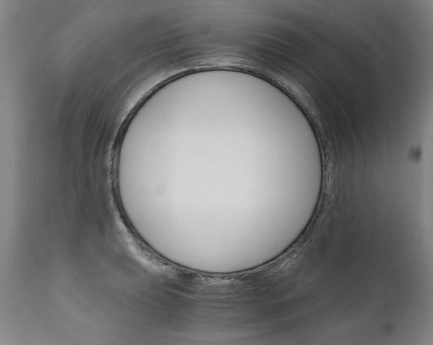 X0000110871039200906181005