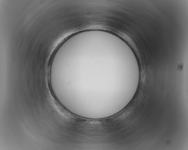 X0000110871043200906181005