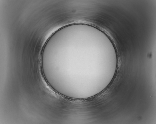 X0000110871048200906181005