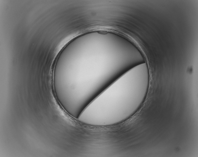 X0000110871050200906181005